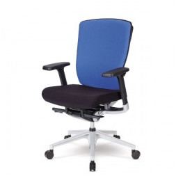 이온SF(실버) 中