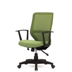 샤인M 中 (보급형)