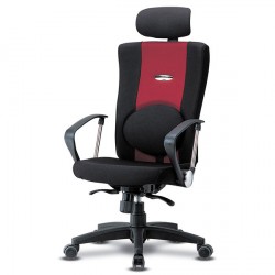 타이탄 요추 大