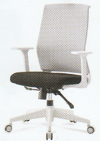 토르(사이즈 중)