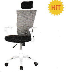 아슬란(사이즈 대)