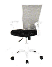 아슬란(사이즈 중)