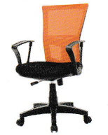 아슬란(사이즈 중)