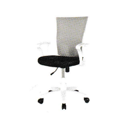 아슬란(사이즈 중)